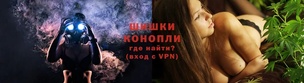 дживик Бородино