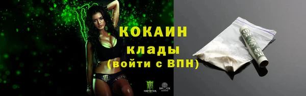 дживик Бородино