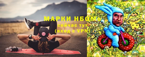 дживик Бородино
