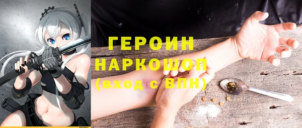 дживик Бородино