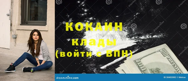 дживик Бородино
