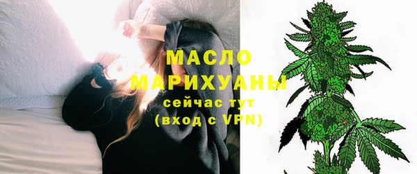 дживик Бородино